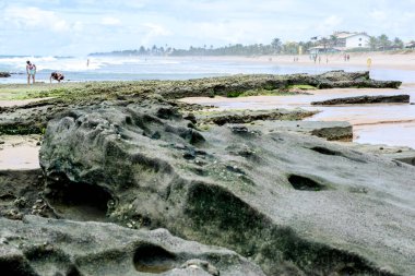 Güneşli bir günde Arembepe sahilinin kum suyu ve taşları. Camacari, Bahia, Brezilya.