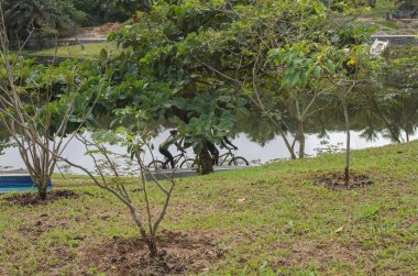 Salvador, Bahia, Brezilya - 27 Temmuz 2014: Parque de Pituacu deniz kenarında yer almaktadır ve Bahia 'nın Salvador kentindeki en büyük ekolojik rezerv konumundadır..