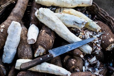 Bahia 'nın Camacari kentindeki açık pazarda meyveler, sebzeler, baharatlar, sebzeler ve kökler satılacak..