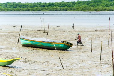 Sao Francisco do Conde, Bahia, Brezilya - 26 Ocak 2016: Deniz ürünleri toplayıcıları ailelerine maddi destek ve yiyecek arayışında.