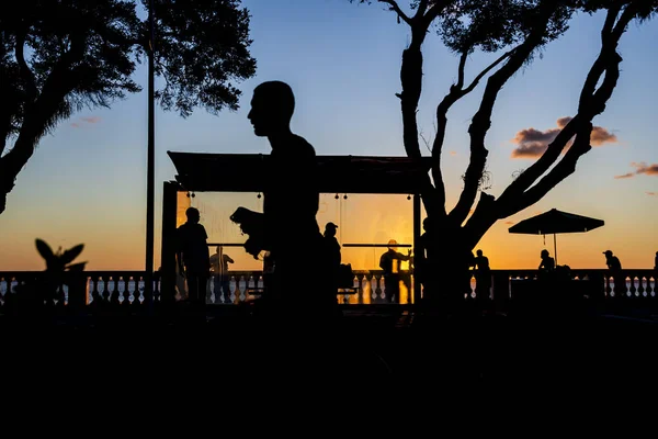 Salvador Bahia Brésil Juin 2021 Silhouette Coucher Soleil Arbre Arrêt — Photo