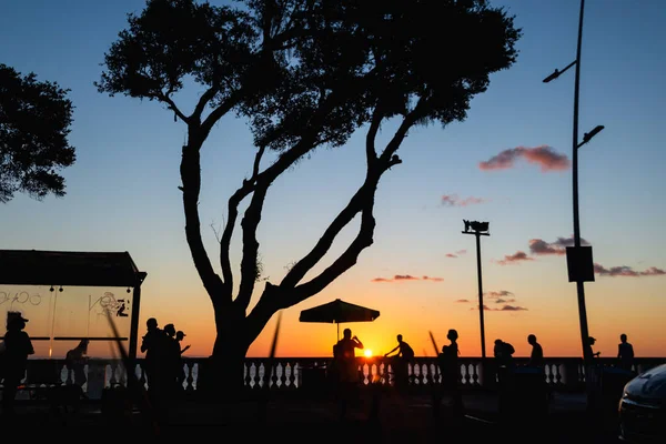 Salvador Bahia Brésil Juin 2021 Silhouette Coucher Soleil Arbre Arrêt — Photo