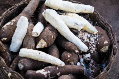 Bahia 'nın Irara kentindeki açık pazarda meyveler, sebzeler, baharatlar, sebzeler ve kökler satılacak..