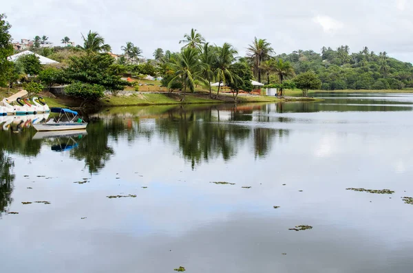 Salvador Bahia Brasilien Juli 2014 Der Parque Pituacu Liegt Direkt — Stockfoto