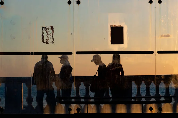 Salvador Bahia Brasilien Juni 2021 Silhouette Bei Sonnenuntergang Von Baum — Stockfoto