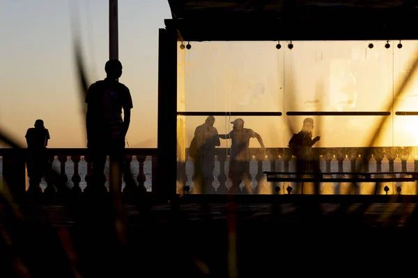 Salvador Bahia Brésil Juin 2021 Silhouette Coucher Soleil Arbre Arrêt — Photo