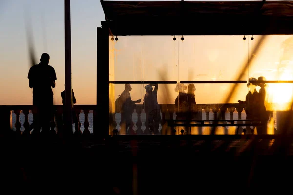 Salvador Bahia Brésil Juin 2021 Silhouette Coucher Soleil Arbre Arrêt — Photo