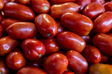 Salvador, Bahia, Brezilya 'daki ünlü ve görkemli Sao Joaquim fuarında satılık kırmızı domatesler..