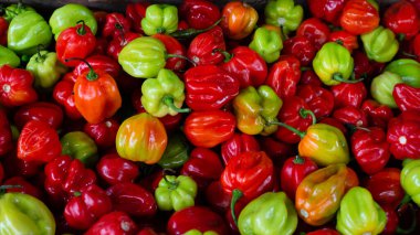 Meşhur ve görkemli Sao Joaquim fuarında kırmızı ve yeşil biber satılıyor. Salvador, Bahia, Brazi