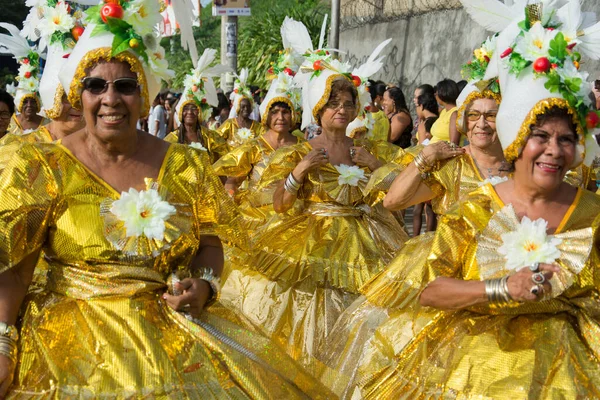 Salvador Bahia Brazylia Stycznia 2016 Spacer Kulturowych Korzeniach Odbywające Się — Zdjęcie stockowe