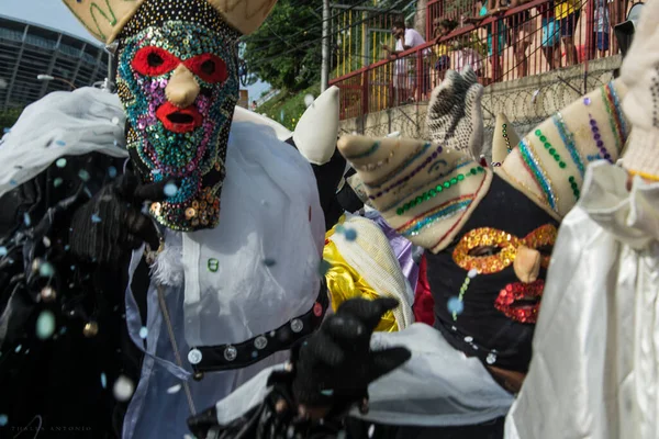 Salvador Bahia Brazília 2016 Január Cultural Roots Walk Dique Tororo — Stock Fotó