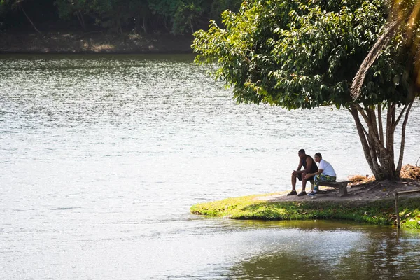 Salvador, Bahia, Brezilya - 17 Ağustos 2014: Parque de Pituacu deniz kenarında yer almaktadır ve Bahia 'nın Salvador kentindeki en büyük ekolojik rezerv konumundadır..