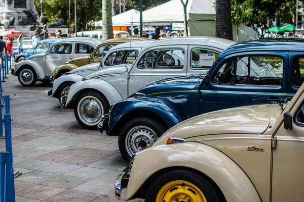 Salvador, Bahia, Brezilya - 01 Kasım 2014: Dois de Julho Meydanı 'nda klasik araba sergisi.