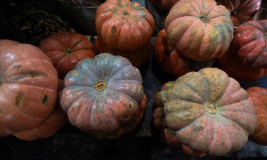 Köy pazarındaki canlı balkabakları zengin bir hasat gösterisi, mevsimlik etkinlikler, aile toplantıları ve çiftlikten sofraya temalar için mükemmel. Sıcak ve renkli bir görüntü mevsimlik yemekleri çağrıştırıyor.