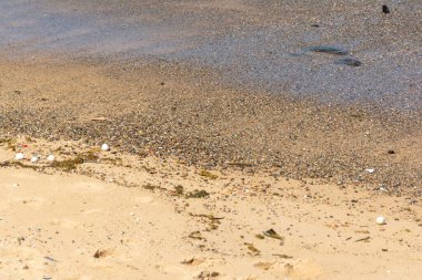 Kumda çakıl taşları olan sakin bir plajın kenarına. Korunmuş doğa.