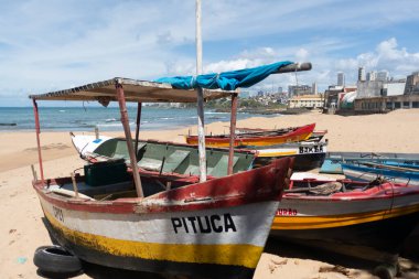 Salvador, Bahia, Brezilya - 2 Kasım 2025: Güneşli bir günde Rio Vermelho sahilinde demirli Rustik balıkçı tekneleri. Bahia, Salvador şehri..