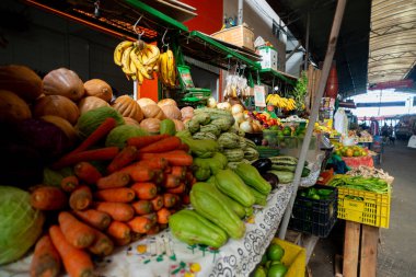 Salvador, Bahia 'daki Sao Joaquim pazarında çeşitli sebze, yeşillik ve kökler sergilenmektedir..