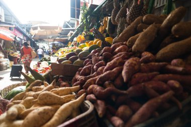 Salvador, Bahia 'daki Sao Joaquim pazarında çeşitli sebze, yeşillik ve kökler sergilenmektedir..