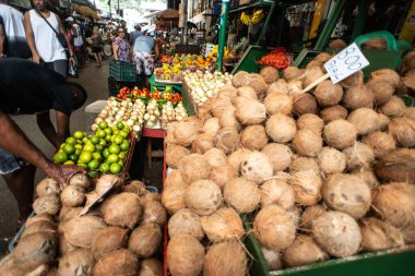 Salvador, Bahia 'daki Sao Joaquim pazarında çeşitli sebze, yeşillik ve kökler sergilenmektedir..