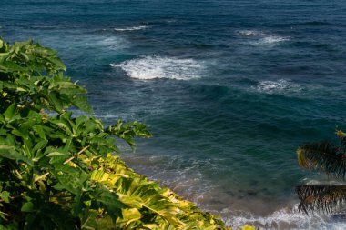 Ön planda yoğun yeşil yapraklar ve arka planda okyanusun mavi suları var. Bahia kıyılarında..