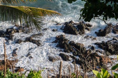Hindistan cevizi palmiyeli tropik bitki örtüsü, Salvador sahillerinde kayalar ve dalgalar kırılıyor..