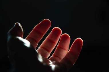 El fenerinin arkasını yakın plan çekerek, güçlü ışığın altındaki şeffaflığı ve kırmızımsı rengi ortaya çıkarıyor..