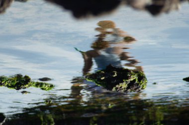 Deniz suyu havuzuna yansıtılan kayalarda ayin yapan birinin sanatsal yansıması..