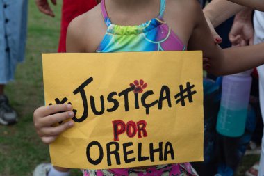 Salvador, Bahia, Brezilya - 1 Şubat 2026: Aktivistler Cao Orelha lehine işaretler ve ilahilerle protesto ediyorlar. Barra Deniz Feneri, Salvador, Bahia.