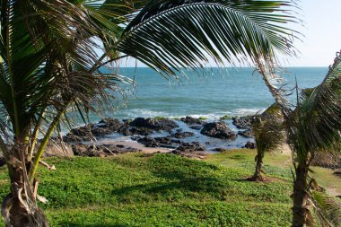 Hindistan cevizi palmiyesi yapraklarıyla çerçevelenmiş kıyı manzarası doğal ışık altında koyu kayaları ve mavi denizi gösteriyor..