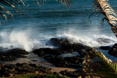 Sahildeki kaya oluşumlarına vuran dalgaların görüntüsü ön planda ve derin denizde kuru yapraklarla birlikte..