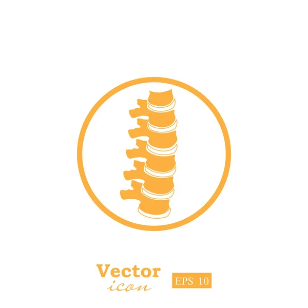 Human spine icon — Stock Vector