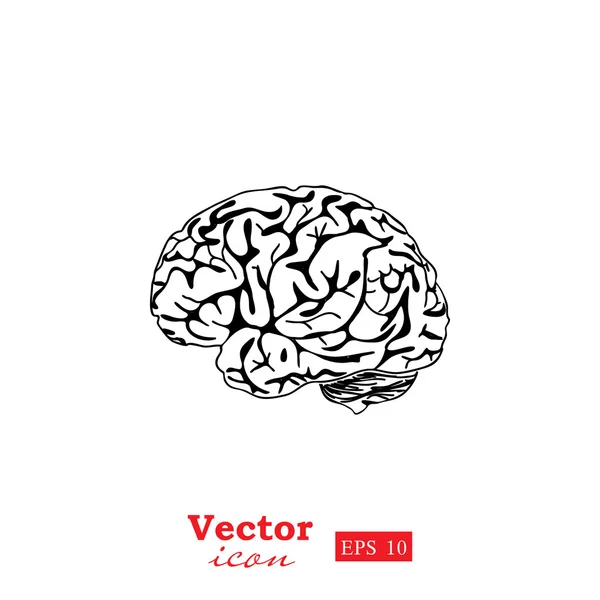 Ikona lidského mozku — Stockový vektor