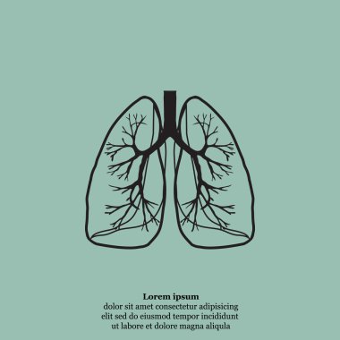 İnsan akciğerleri simgesi