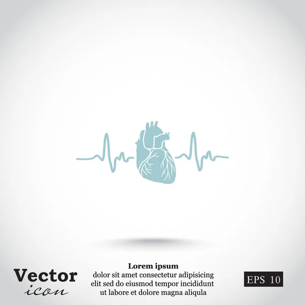 Ikon elektrokardiogram jantung - Stok Vektor