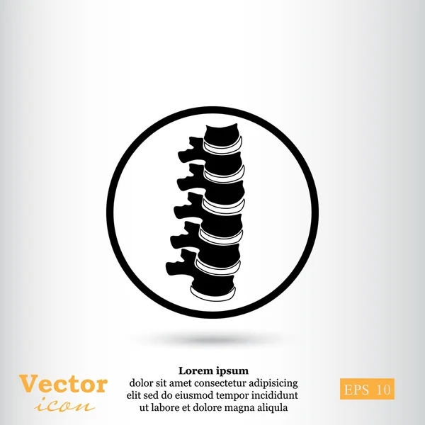 Ícone da coluna vertebral humana —  Vetores de Stock