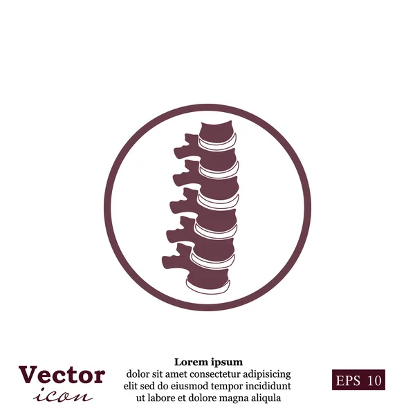 Ícone da coluna vertebral humana — Vetor de Stock