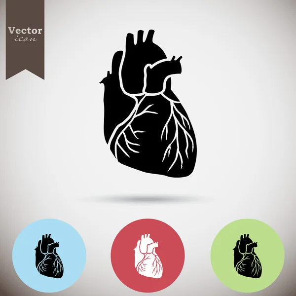 Значок органу людського серця — стоковий вектор