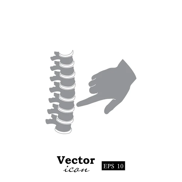 Doctor hand and human spine icon — Stock Vector