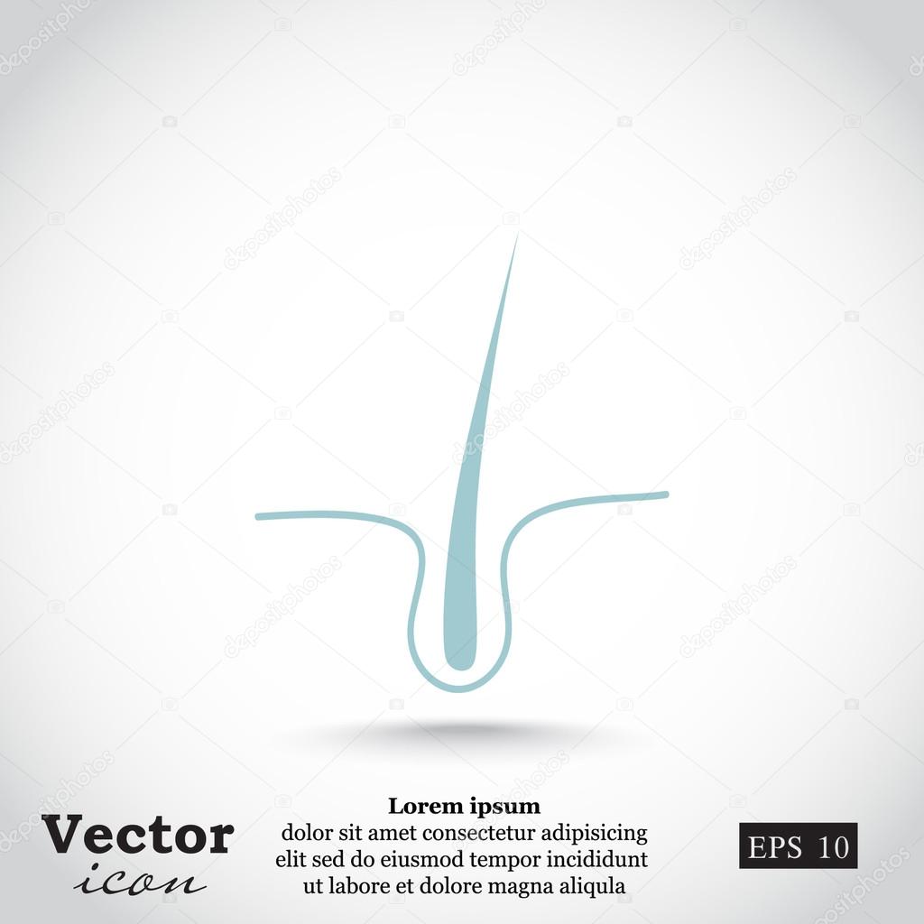 Human hair icon. vector illustration