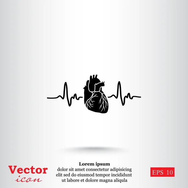 Ikon elektrokardiogram jantung - Stok Vektor