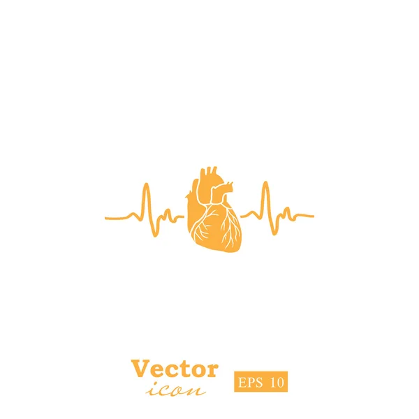 Heart electrocardiogram icon — Stock Vector