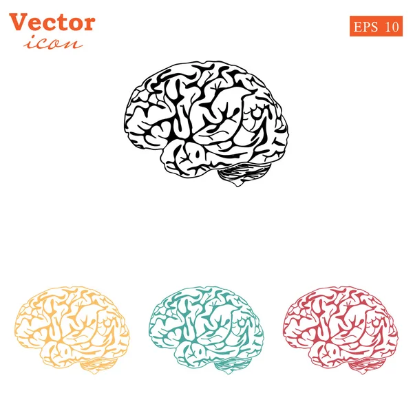 Conjunto de iconos del cerebro humano — Vector de stock