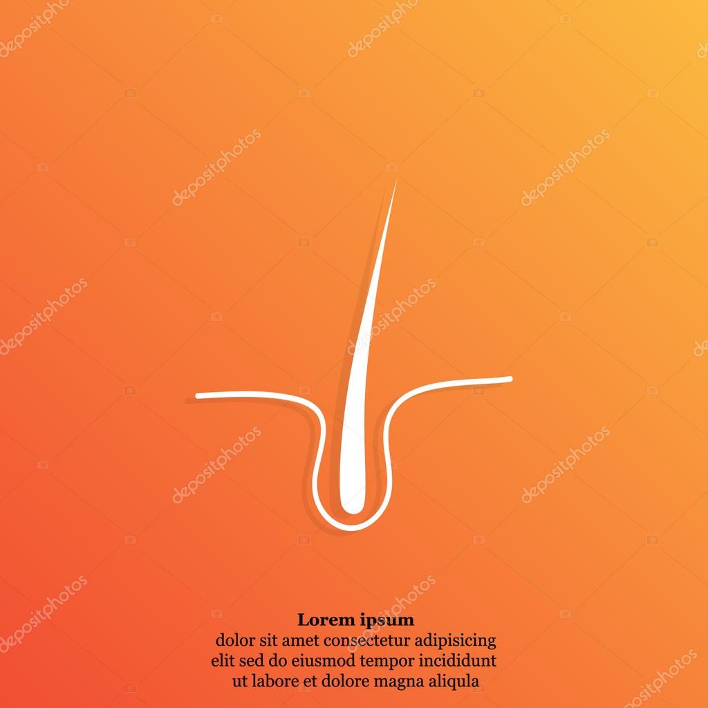 Human hair icon. vector illustration