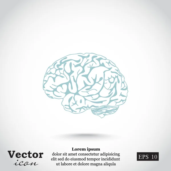 Menselijk brein icoon — Stockvector