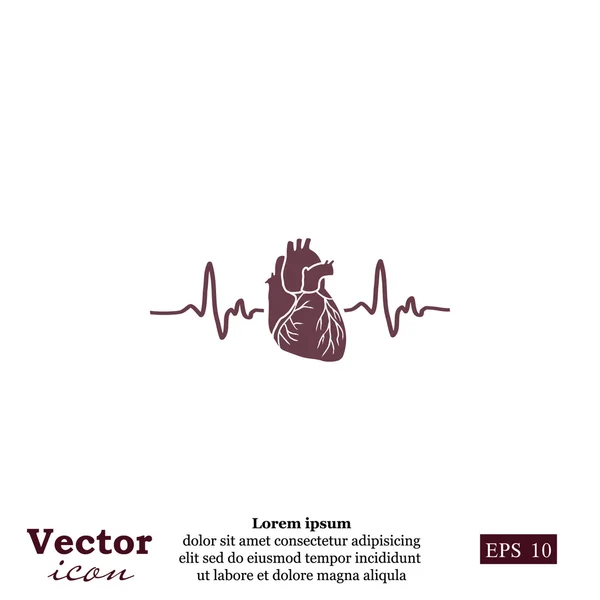 Icône de l'électrocardiogramme cardiaque — Image vectorielle