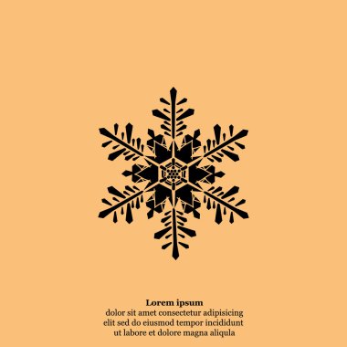 kış kar tanesi simgesi