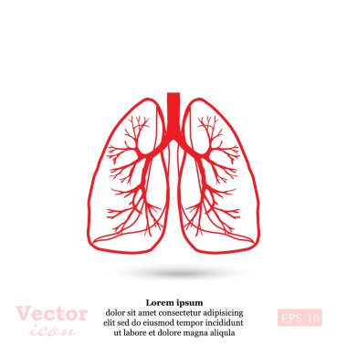 İnsan akciğerleri simgesi