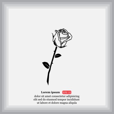 gül çiçeği simgesi