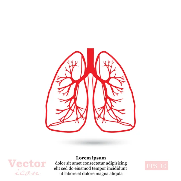 Иконка легких человека — стоковый вектор