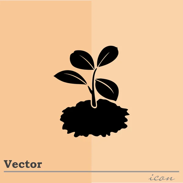 Planta brote icono — Vector de stock